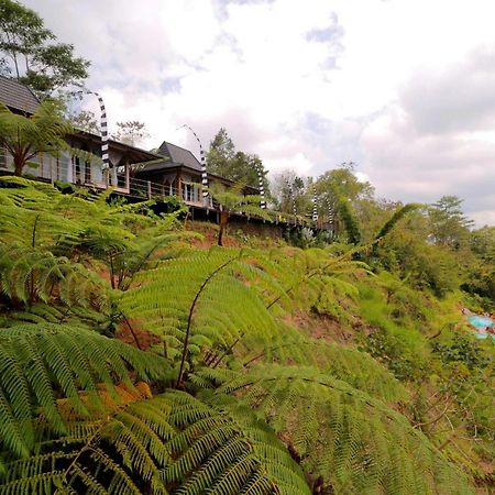The Bejalin Eco Retreat Hotel Plaga Kültér fotó