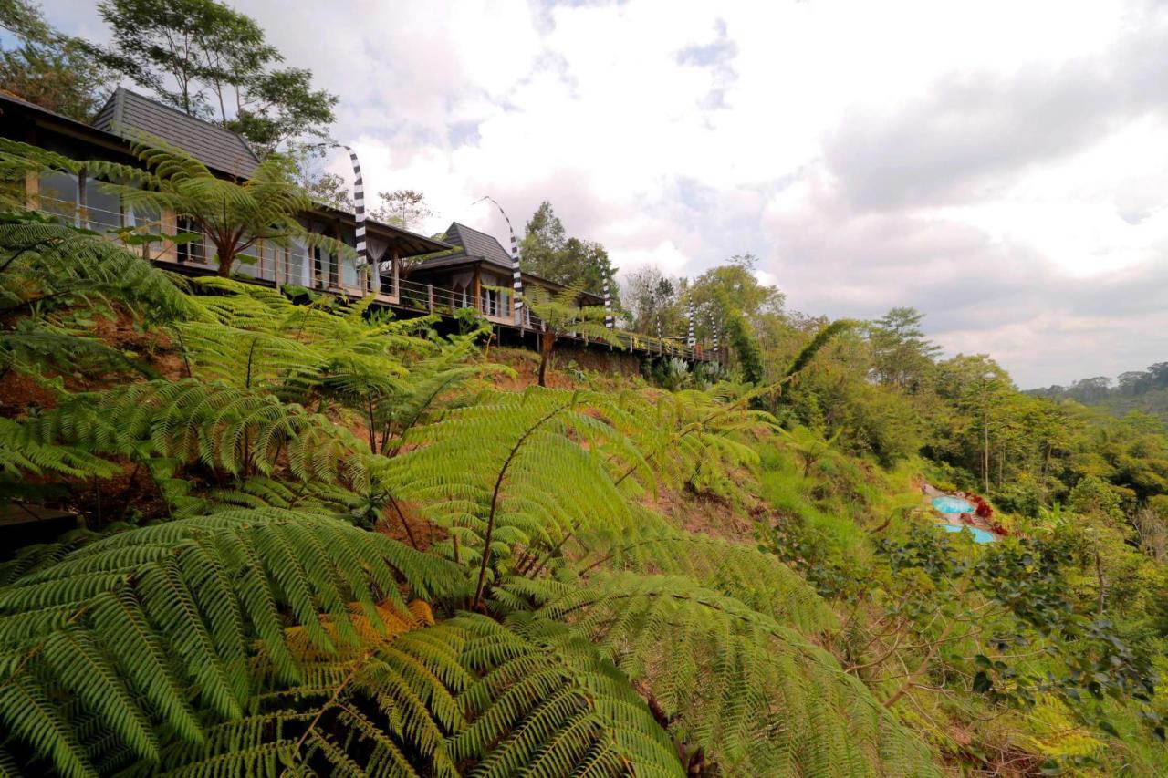 The Bejalin Eco Retreat Hotel Plaga Kültér fotó